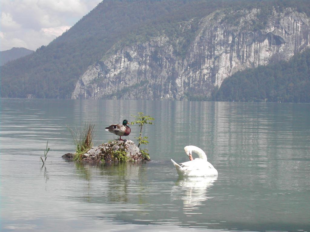 Landhaus Leitner Am Wolfgangsee Sankt Gilgen Exteriér fotografie